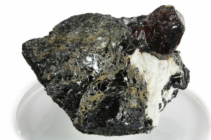 Fluorescent Zircon Crystal in Biotite Schist - Norway #351541